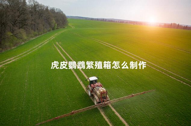 鸚鵡繁殖箱怎么制作尺寸，虎皮鸚鵡繁殖箱怎么制作